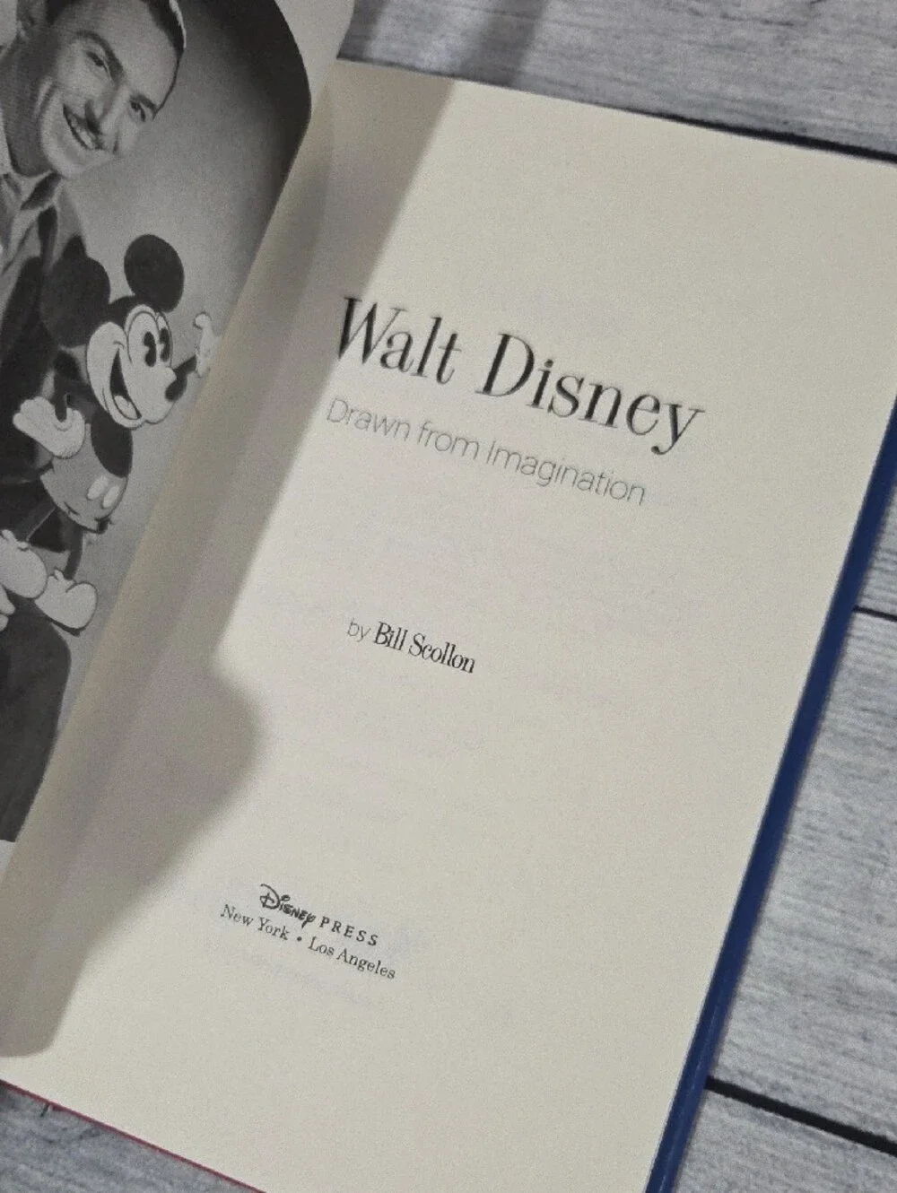 Disney Walt Disney Drawn from Imagination Book Hardcover
